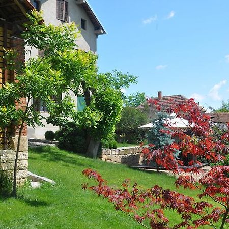 Guesthouse Djuric Negotin Exterior foto