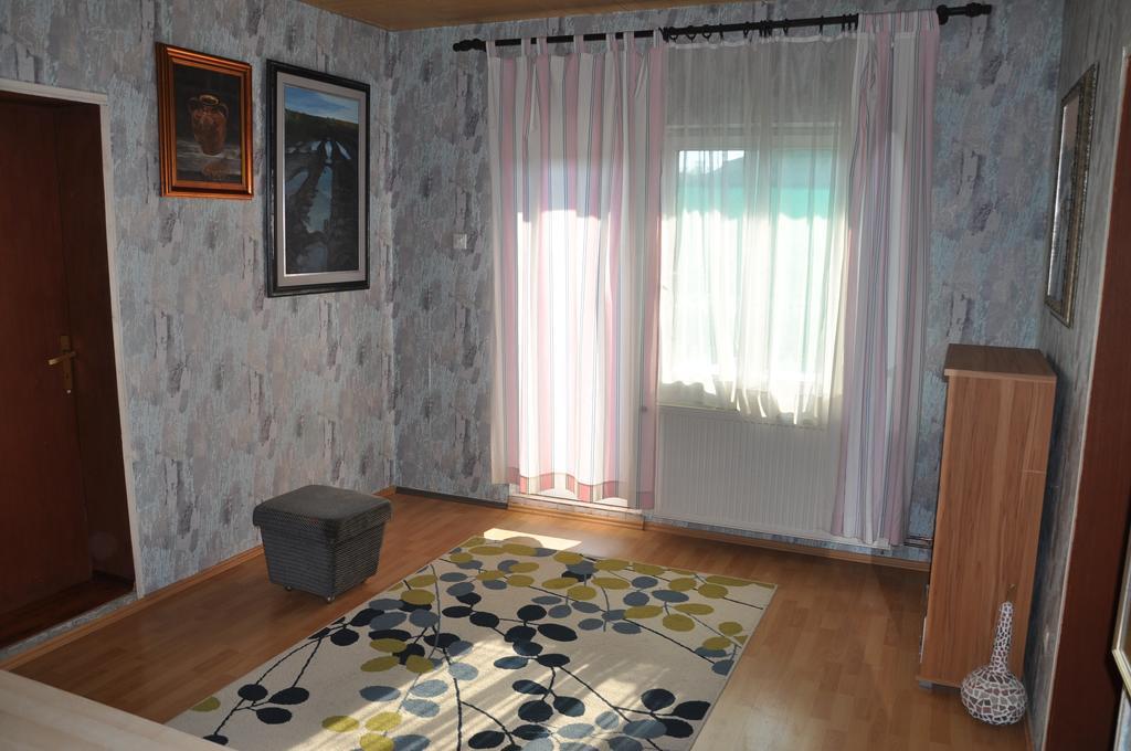 Guesthouse Djuric Negotin Exterior foto