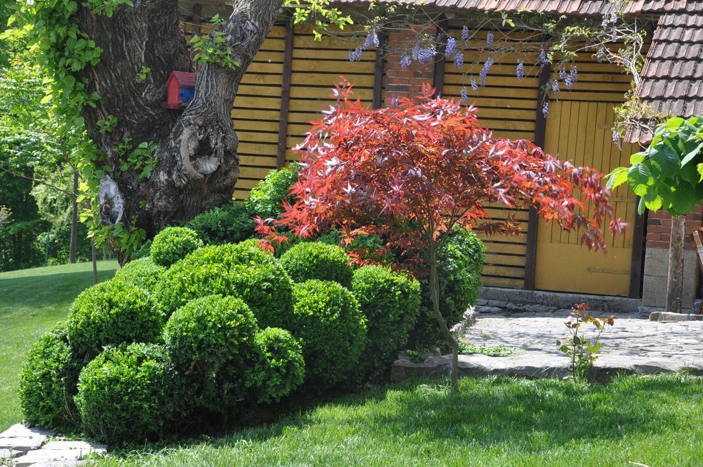 Guesthouse Djuric Negotin Exterior foto